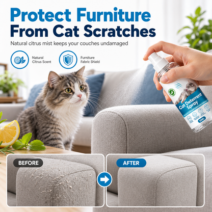 🐱 Marre des Griffades sur le Canapé ? Spray Anti-Griffures pour Chats au Parfum d’Agrumes – Aide à Protéger vos Meubles 🛋️