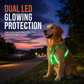 🎉 Promo –50% ! 🐕 Harnais pour Chien Lumineux LED – 3 Modes d'Éclairage, Sangles Réglables, Recharge USB pour Balades de Nuit ✨